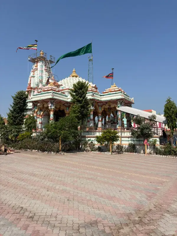 ગાય અને ભેંસ વેચવાની છે કોઈને લેવી